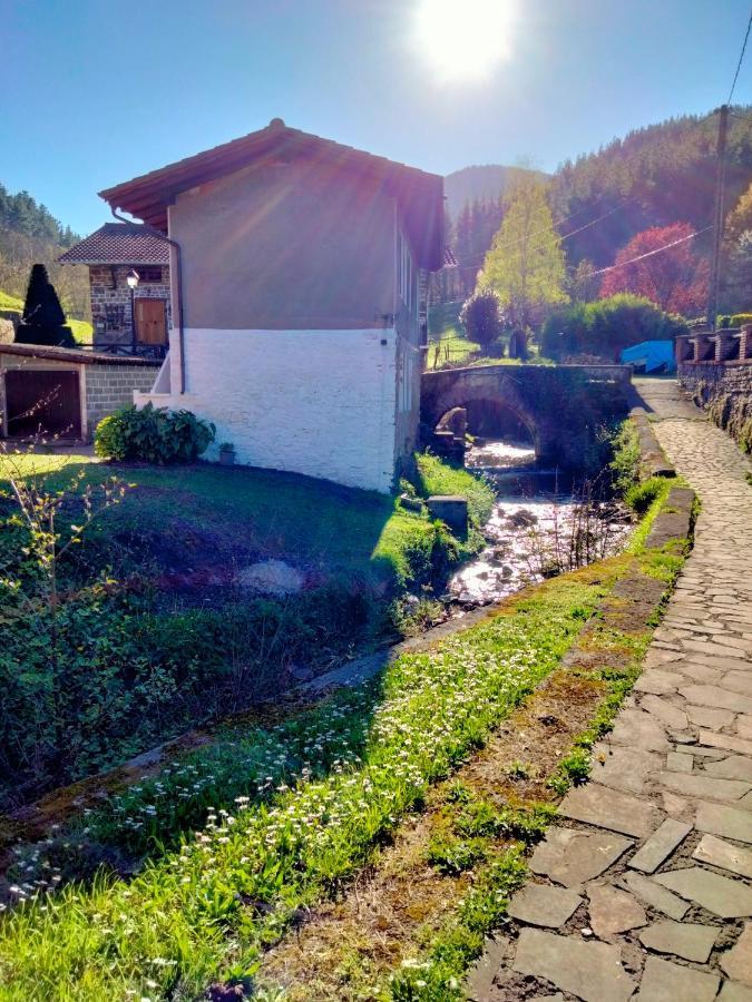 Ferienwohnung Errekaondo Areatza Exterior foto